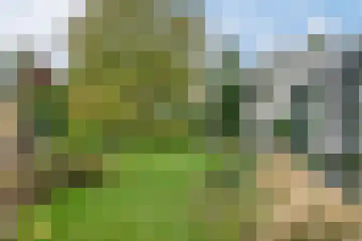 Piepenbrocklaan 4 Waalre thumbnail 38