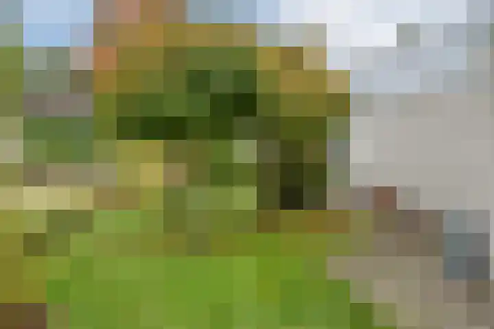 Piepenbrocklaan 4 Waalre thumbnail 40