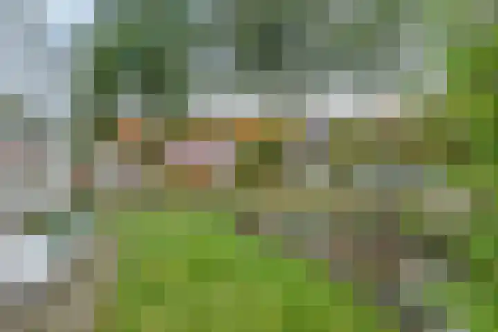 Piepenbrocklaan 4 Waalre thumbnail 41