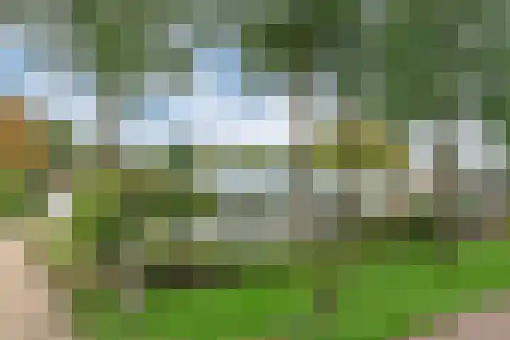 Piepenbrocklaan 4 Waalre thumbnail 42