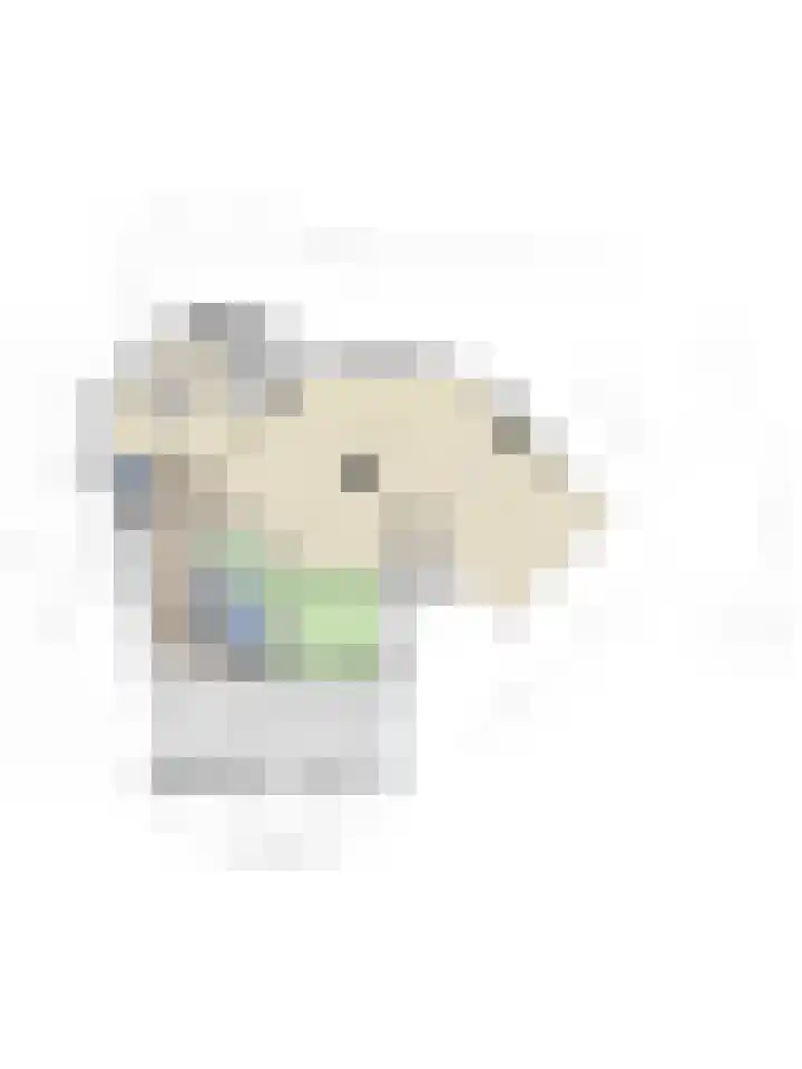 Piepenbrocklaan 4 Waalre thumbnail 45