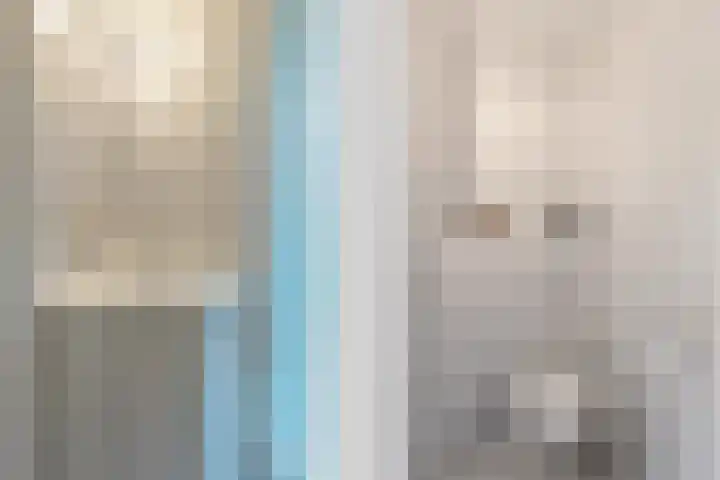 Piepenbrocklaan 4 Waalre thumbnail 6