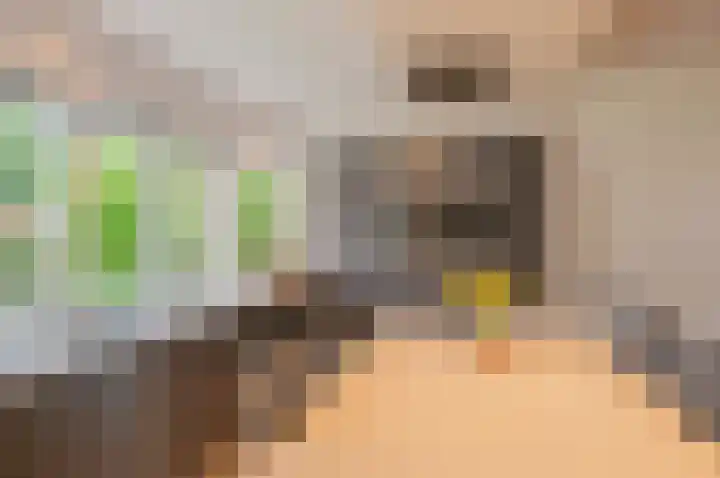 Piepenbrocklaan 4 Waalre thumbnail 9
