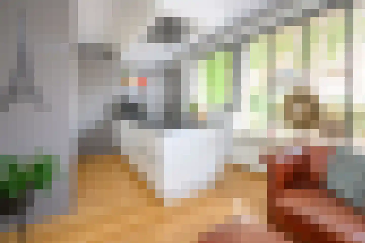 Pieperslaan 4 Ellecom thumbnail 10