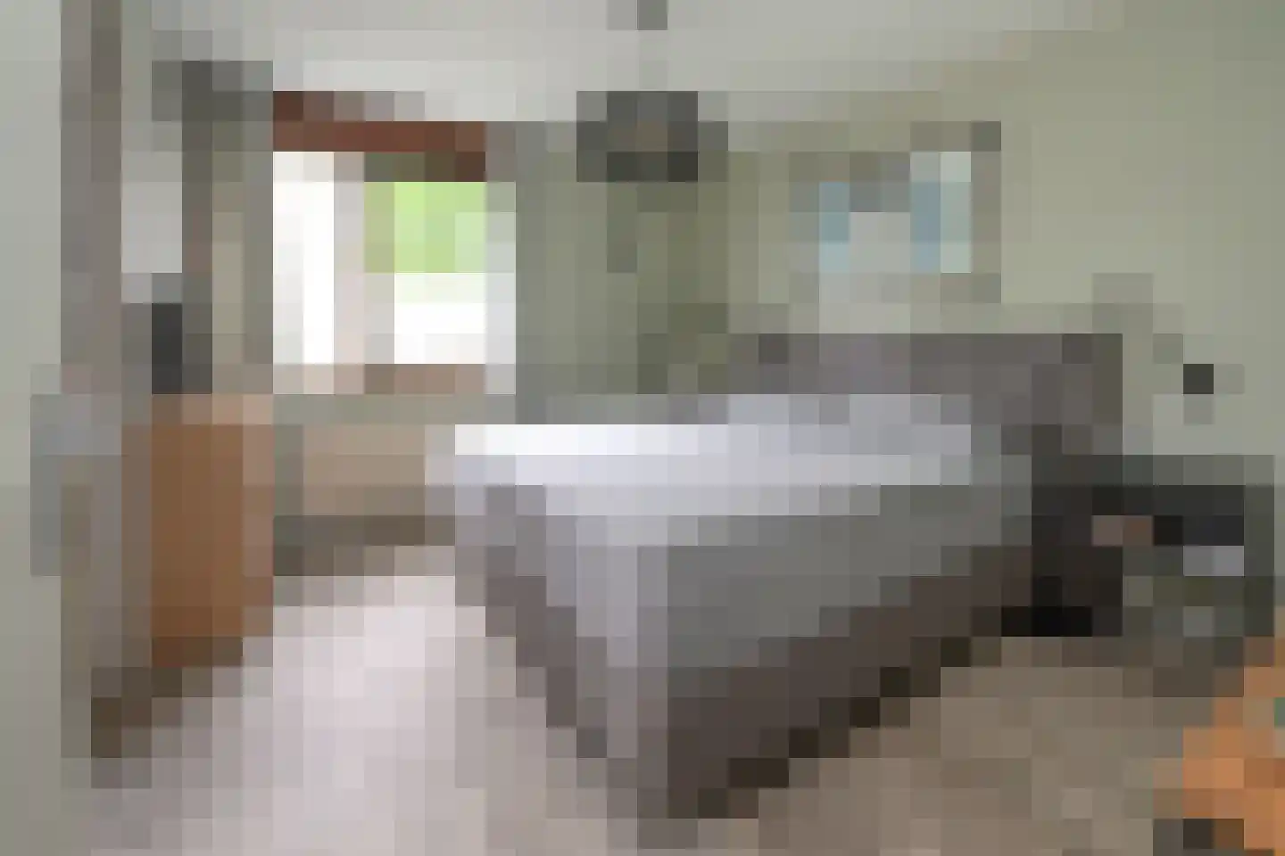 Pieperslaan 4 Ellecom thumbnail 17