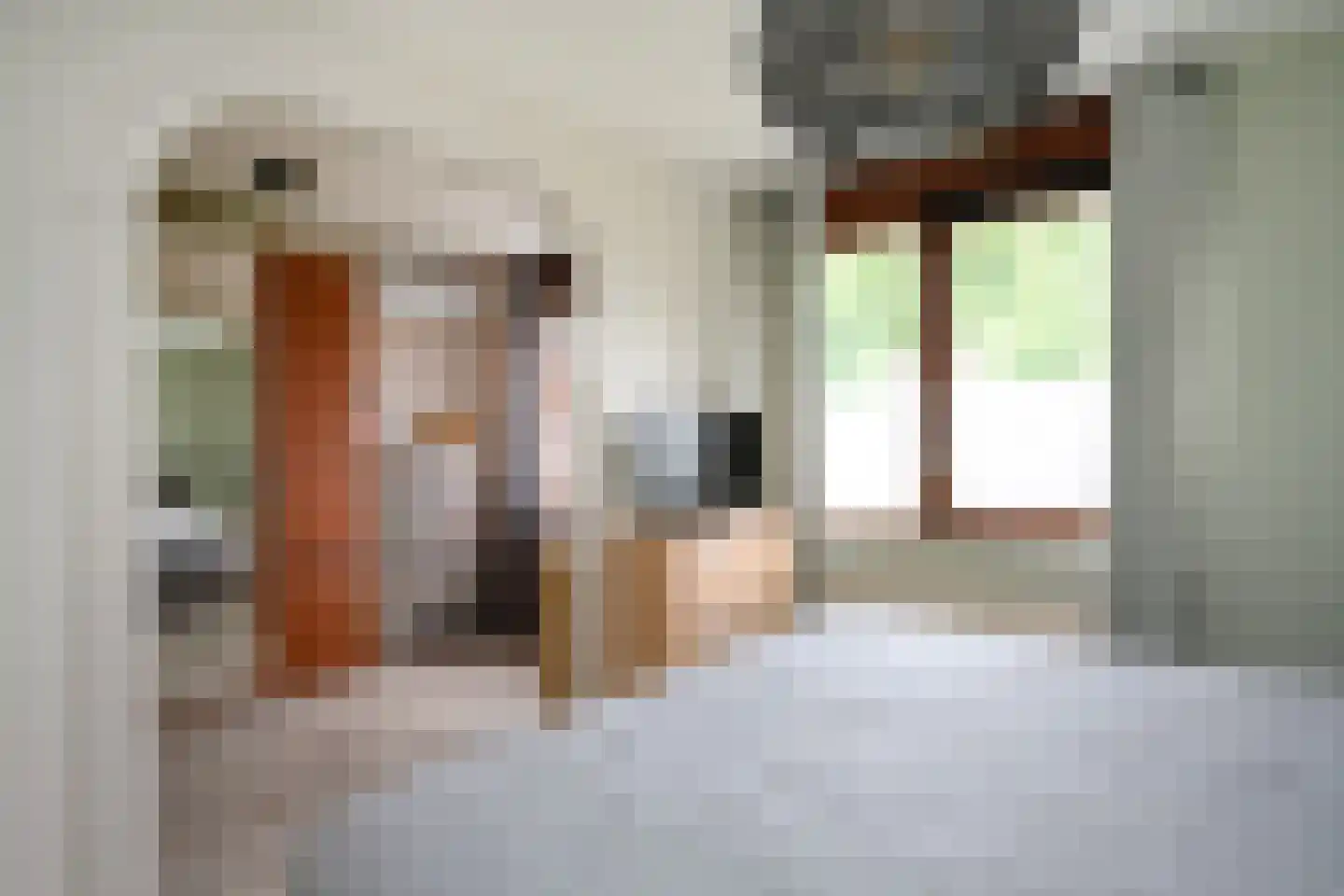 Pieperslaan 4 Ellecom thumbnail 18