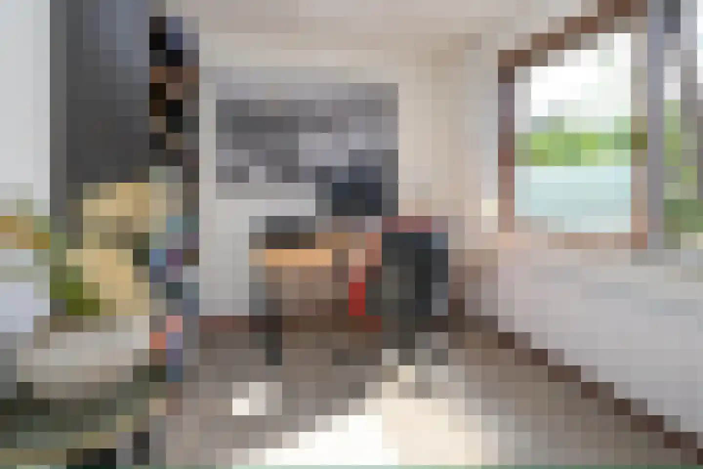 Pieperslaan 4 Ellecom thumbnail 19