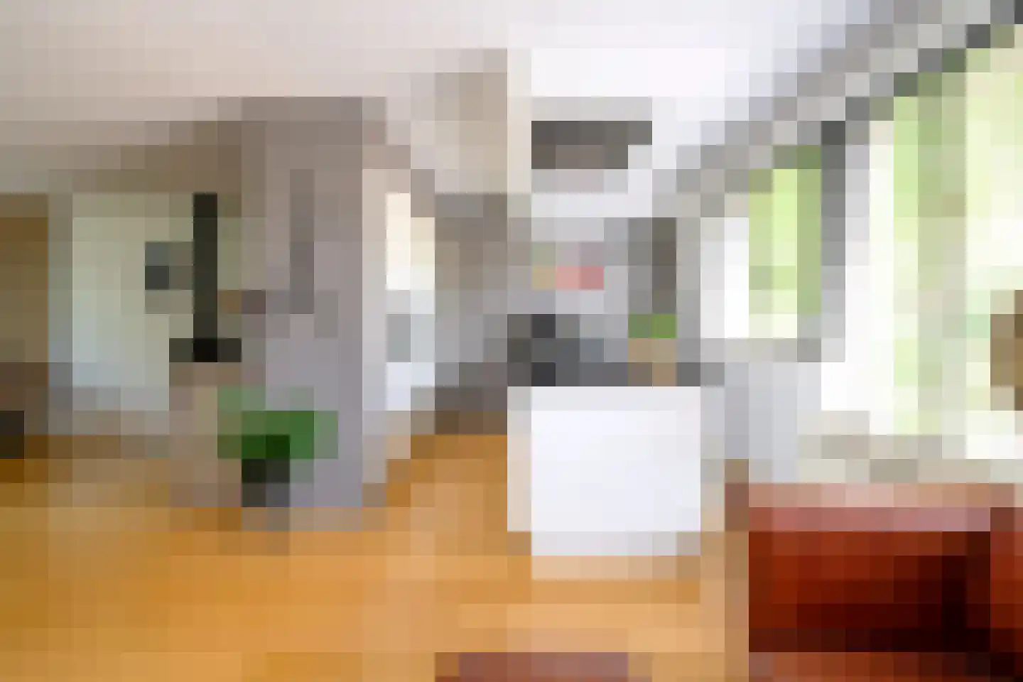 Pieperslaan 4 Ellecom foto 2