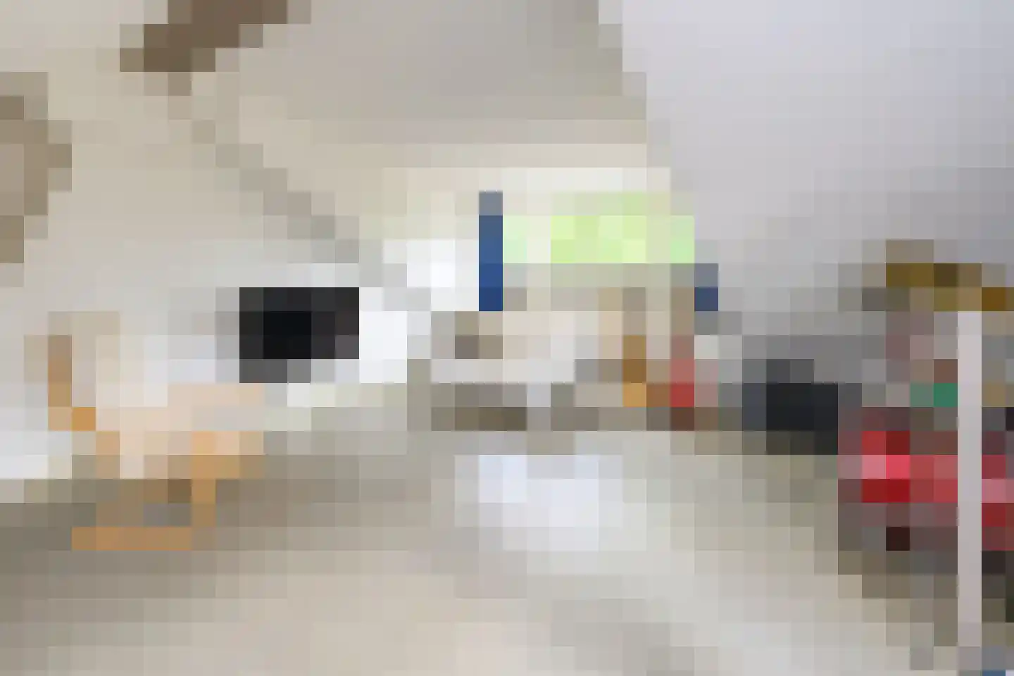 Pieperslaan 4 Ellecom thumbnail 23
