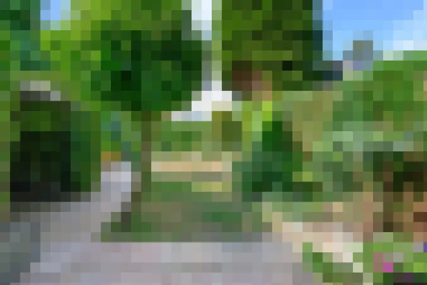 Pieperslaan 4 Ellecom thumbnail 27