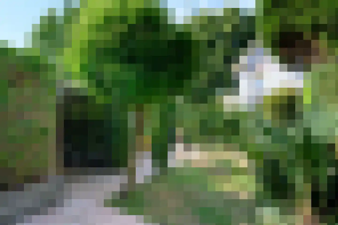 Pieperslaan 4 Ellecom thumbnail 28