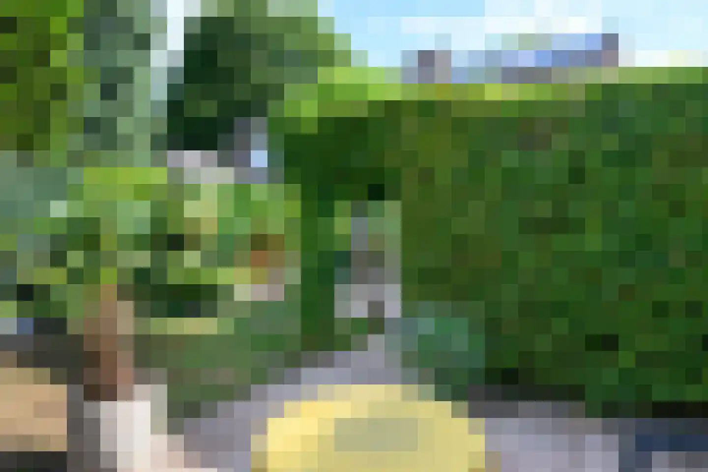 Pieperslaan 4 Ellecom thumbnail 29