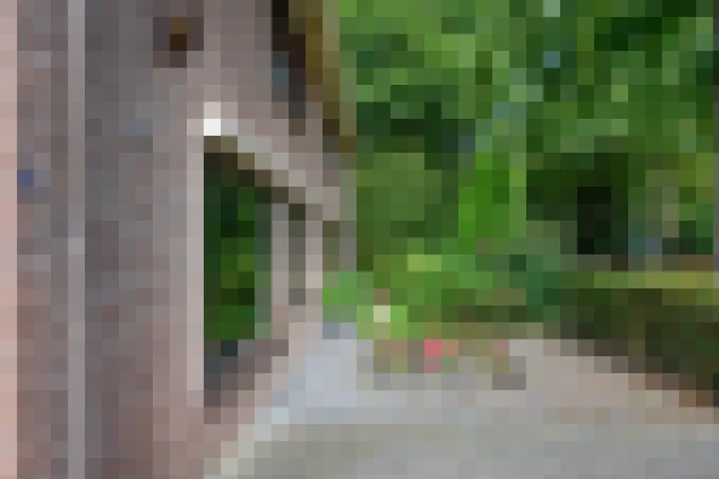 Pieperslaan 4 Ellecom thumbnail 33