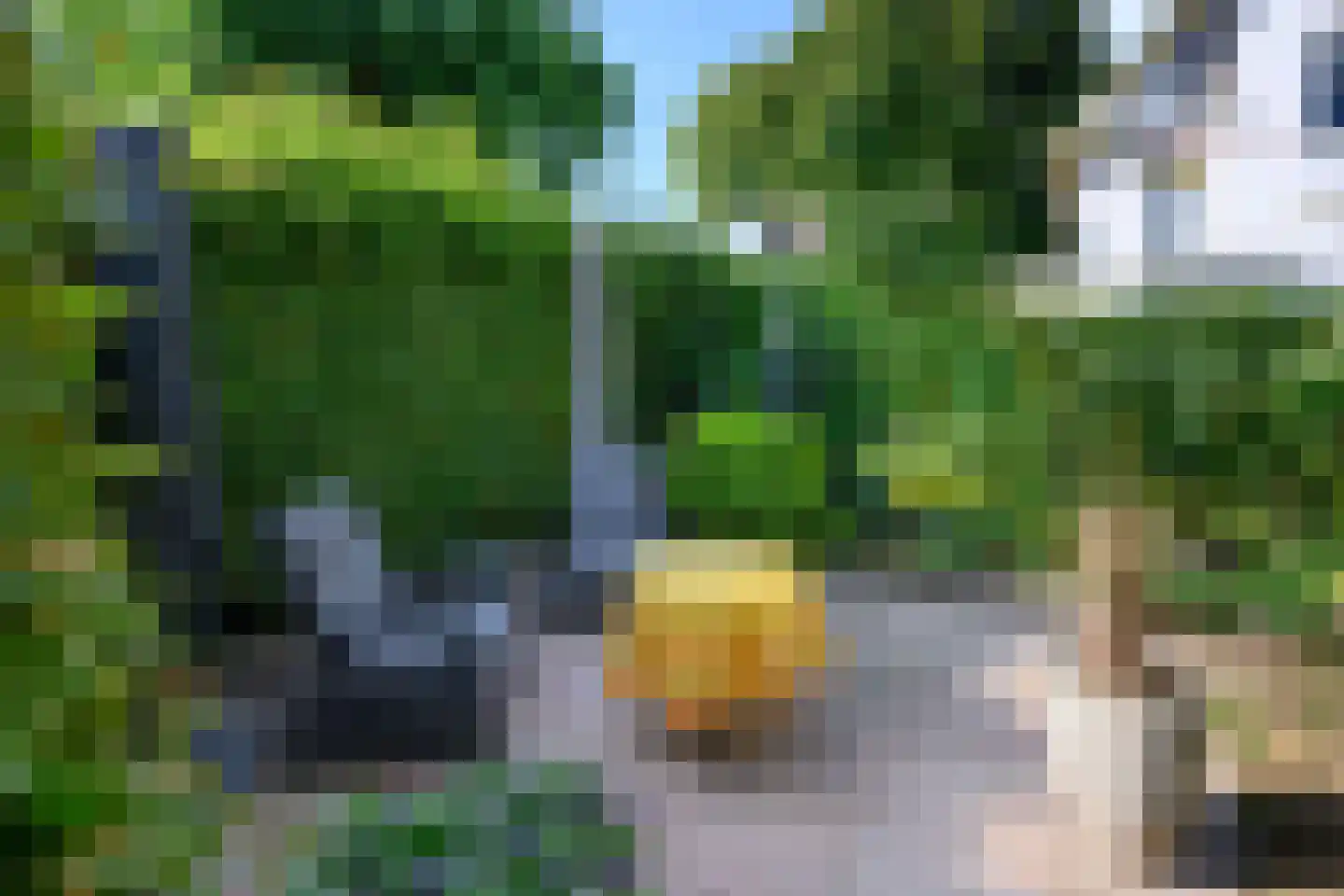 Pieperslaan 4 Ellecom thumbnail 4