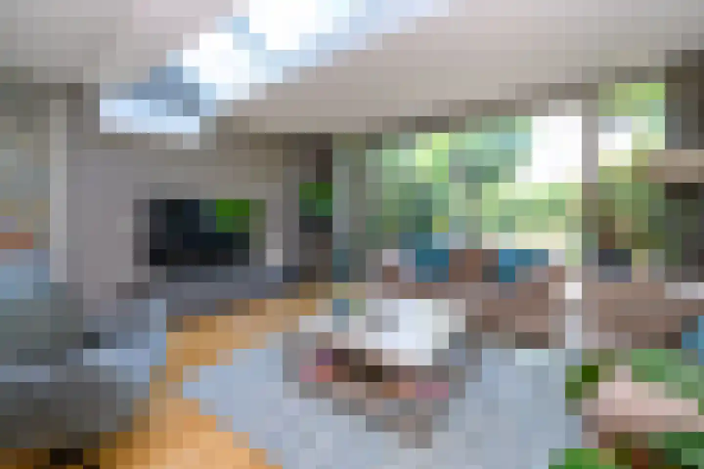 Pieperslaan 4 Ellecom thumbnail 6