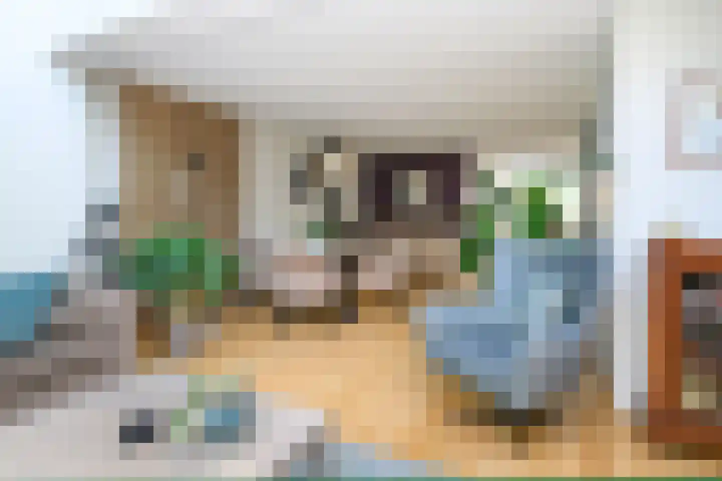 Pieperslaan 4 Ellecom thumbnail 7