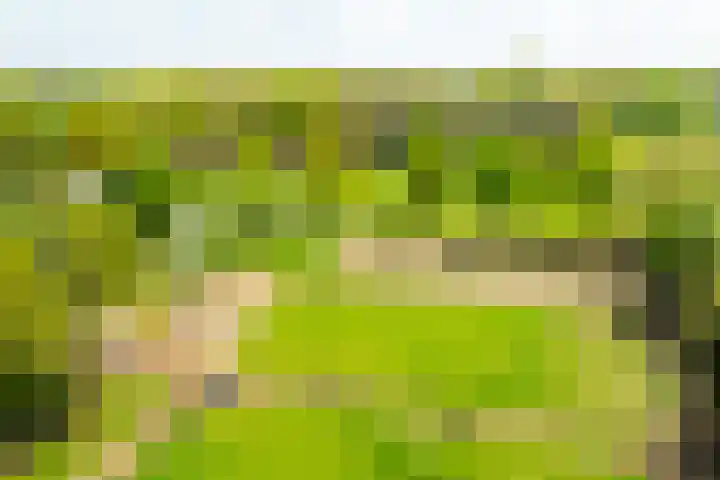 Piepersweg 12 Aalten thumbnail 10