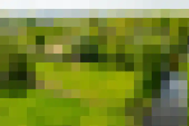Piepersweg 12 Aalten thumbnail 12