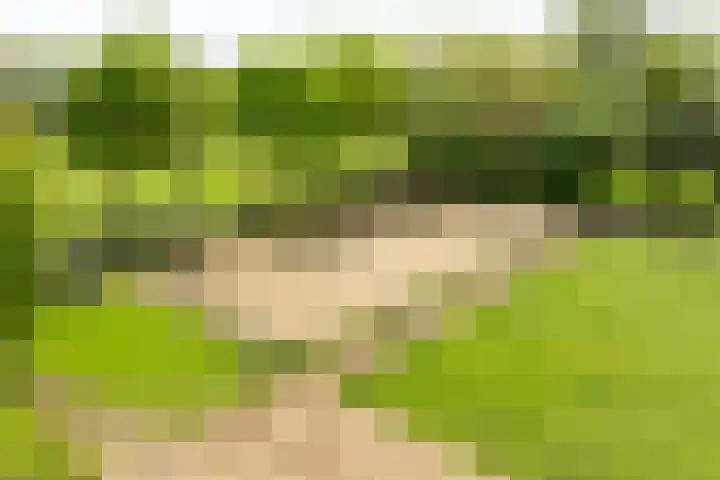 Piepersweg 12 Aalten thumbnail 15