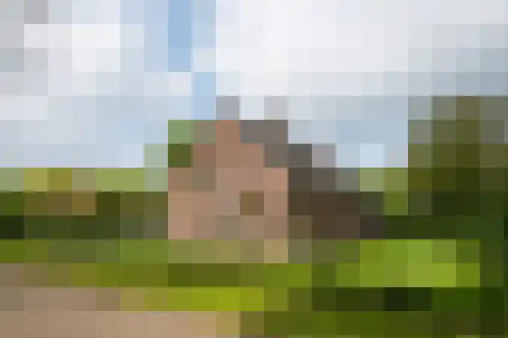 Piepersweg 12 Aalten thumbnail 18