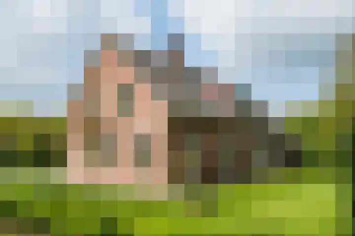 Piepersweg 12 Aalten thumbnail 19