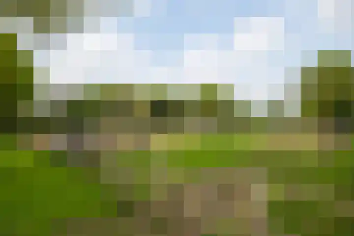 Piepersweg 12 Aalten thumbnail 22
