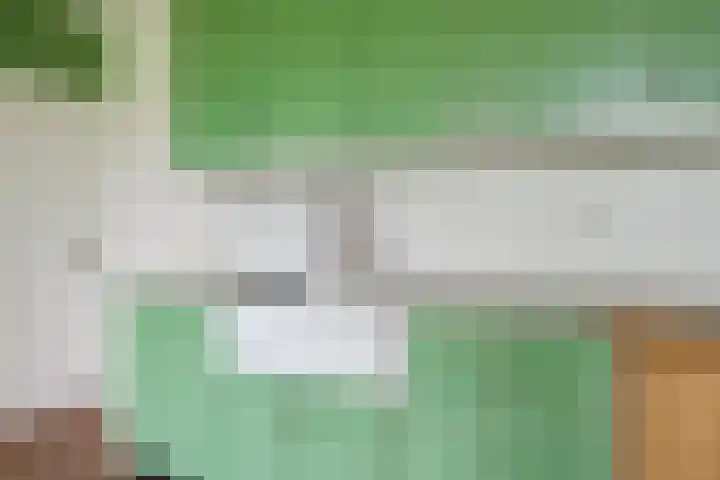 Piepersweg 12 Aalten thumbnail 47