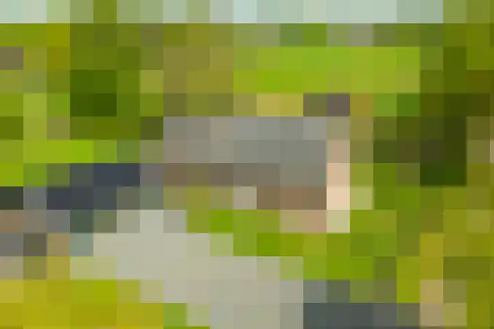 Piepersweg 12 Aalten thumbnail 5