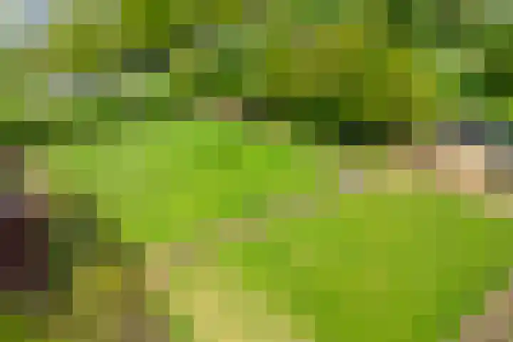 Piepersweg 12 Aalten thumbnail 7