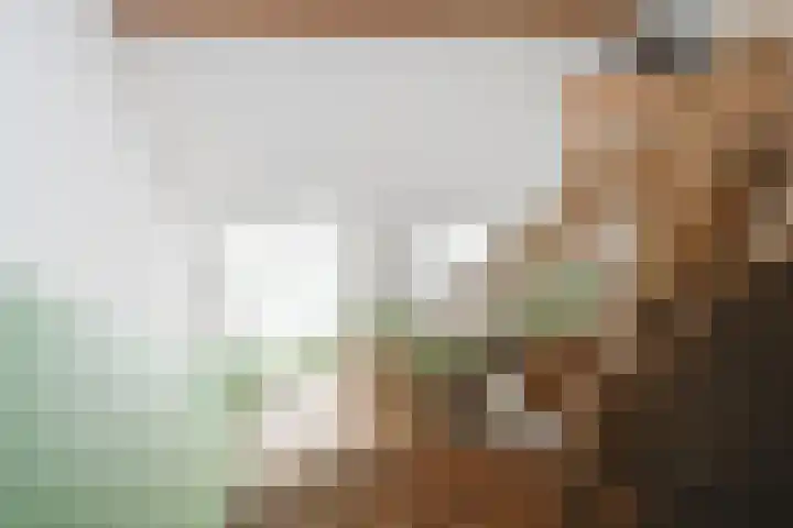 Piepersweg 12 Aalten thumbnail 71