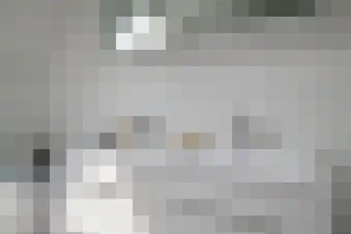 Piepersweg 12 Aalten thumbnail 73