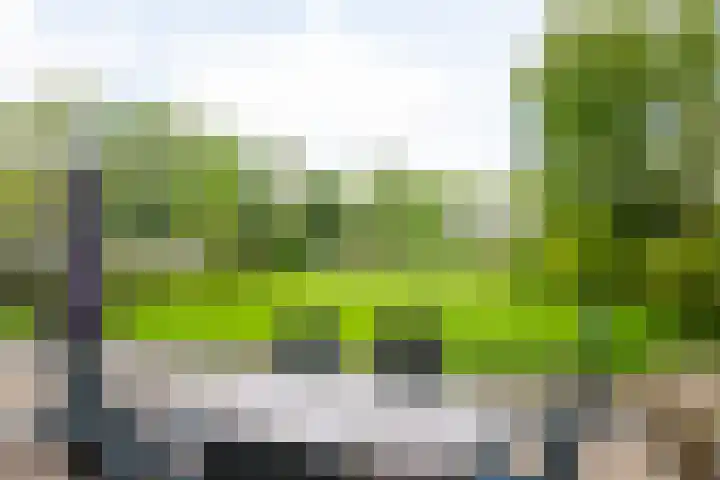 Piepersweg 12 Aalten thumbnail 77