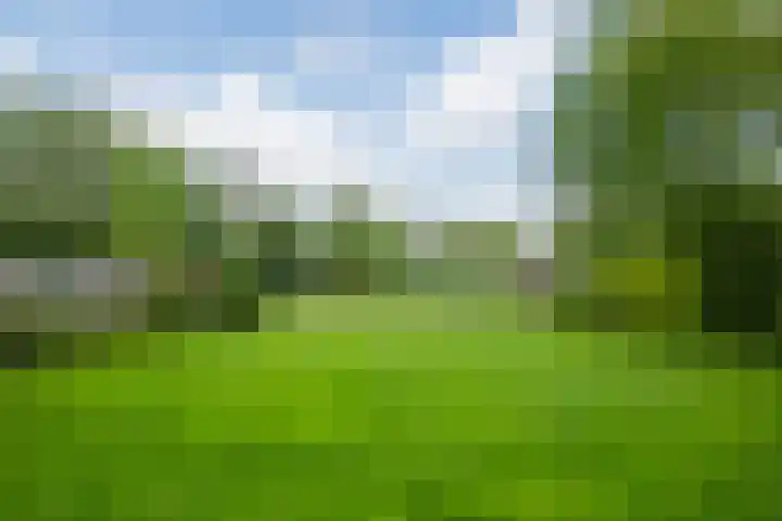 Piepersweg 12 Aalten thumbnail 78