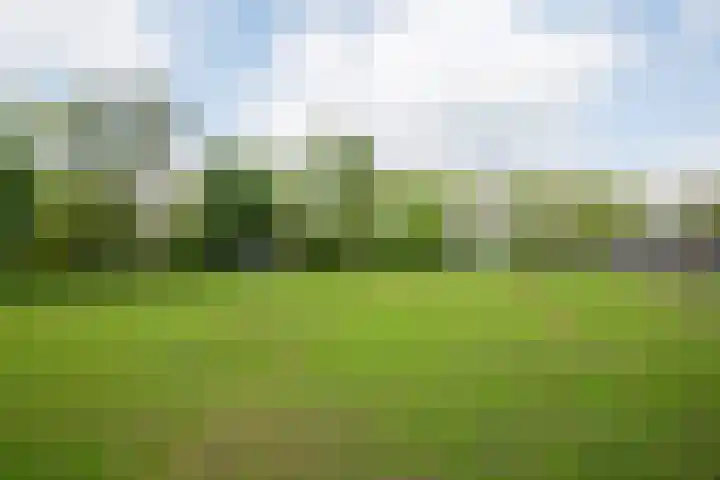 Piepersweg 12 Aalten thumbnail 81