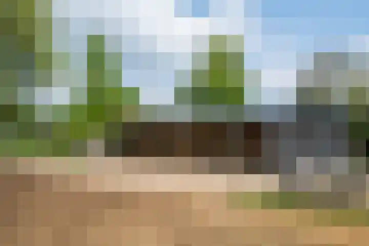 Piepersweg 12 Aalten thumbnail 88