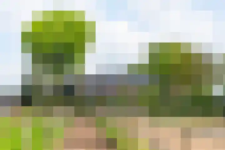 Piepersweg 12 Aalten thumbnail 89