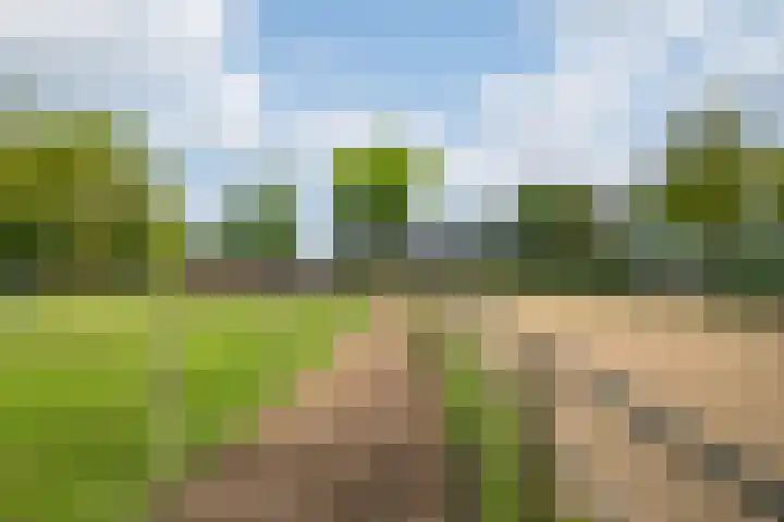 Piepersweg 12 Aalten thumbnail 90