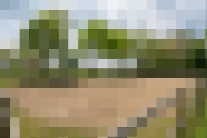 Piepersweg 12 Aalten thumbnail 91