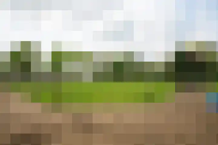 Piepersweg 12 Aalten thumbnail 92