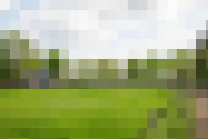 Piepersweg 12 Aalten thumbnail 97