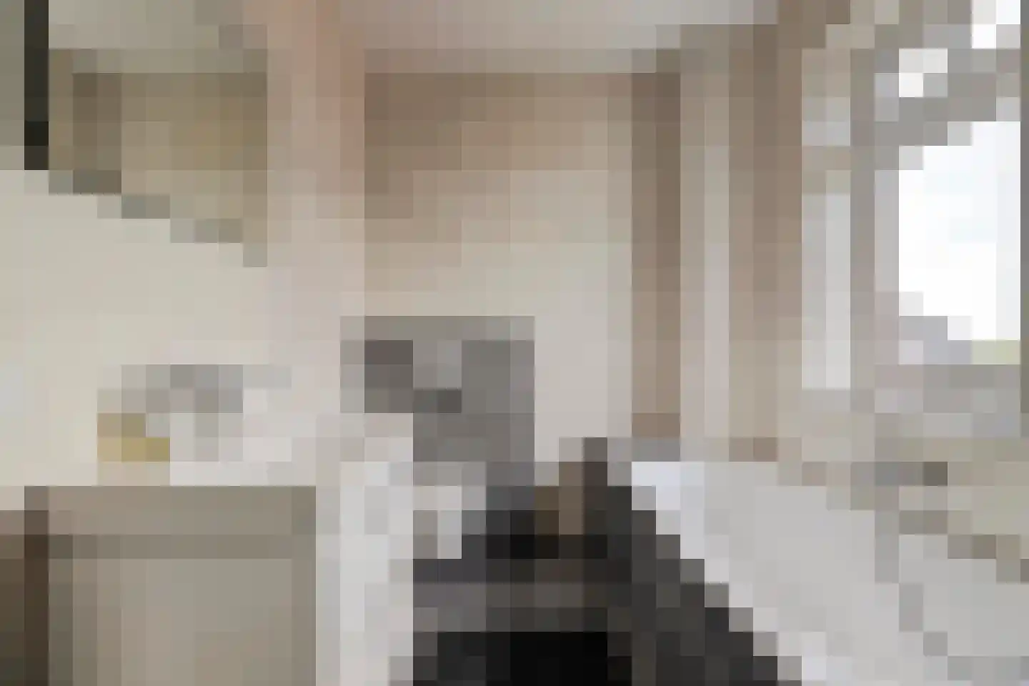 Pier Christiaanswei 7 A Delfstrahuizen thumbnail 16