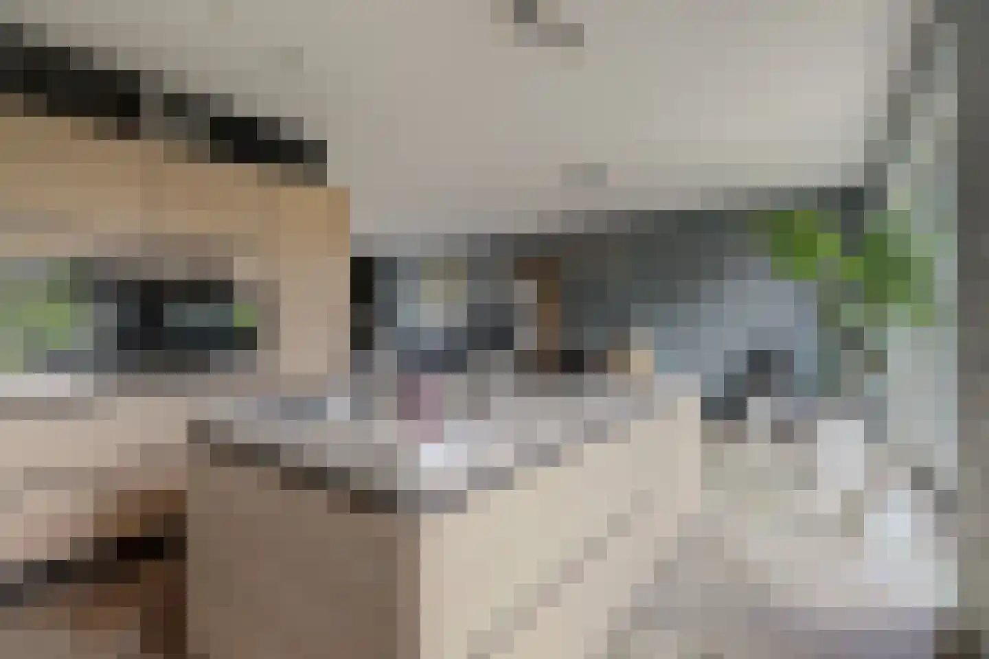 Pier Christiaanswei 7 A Delfstrahuizen thumbnail 6