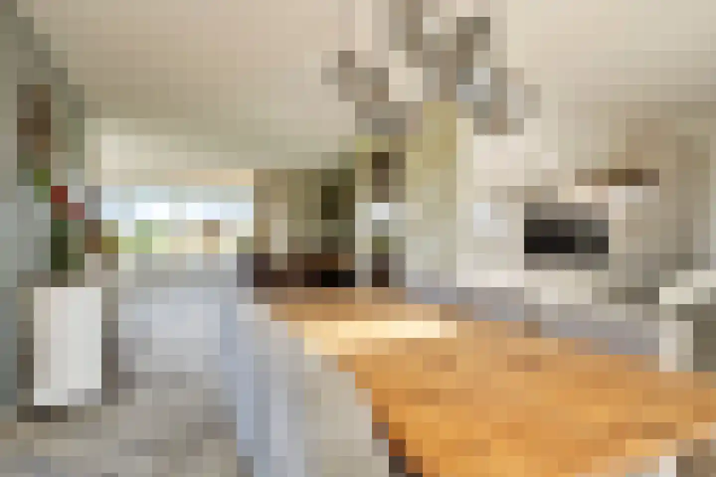 Pier Christiaanswei 8 Delfstrahuizen thumbnail 14