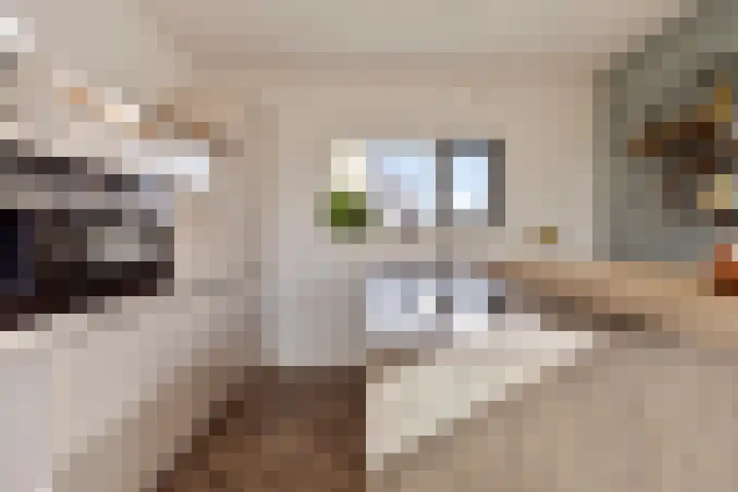 Pier Christiaanswei 8 Delfstrahuizen thumbnail 15