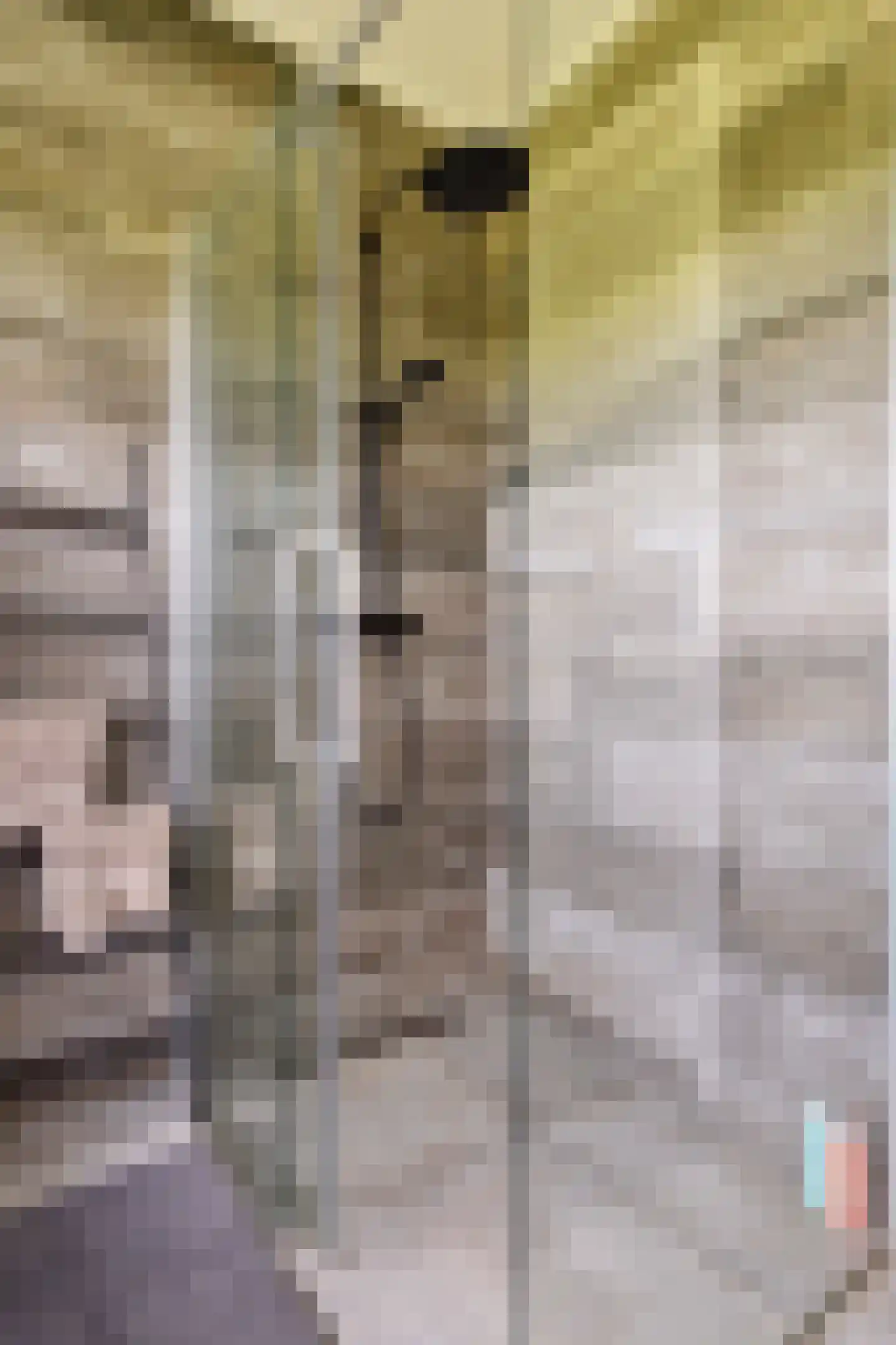 Pier Christiaanswei 8 Delfstrahuizen thumbnail 27