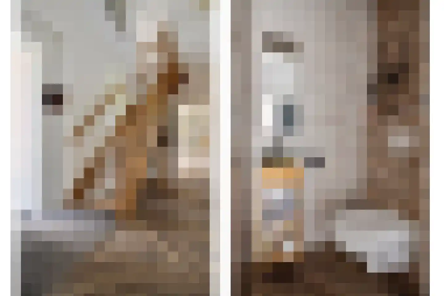 Pier Christiaanswei 8 Delfstrahuizen thumbnail 8