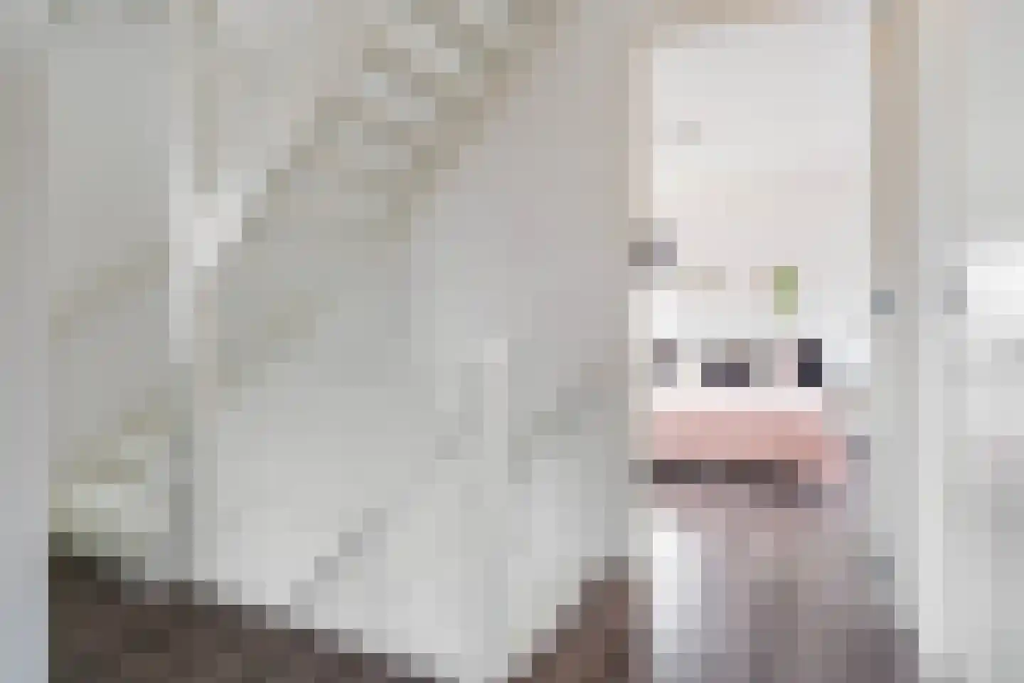 Pier Hylckeshof 6 Sneek thumbnail 24