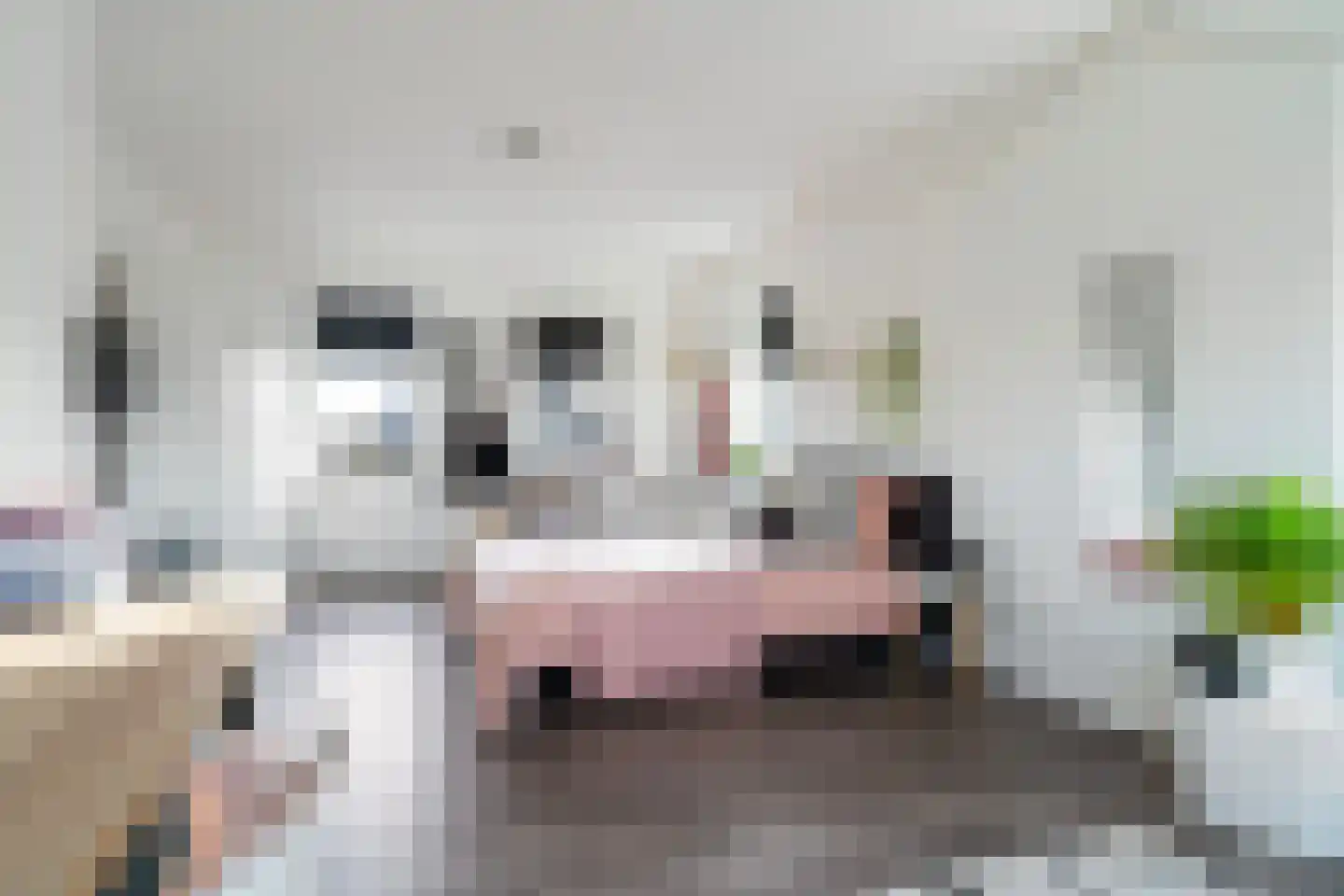 Pier Hylckeshof 6 Sneek thumbnail 25