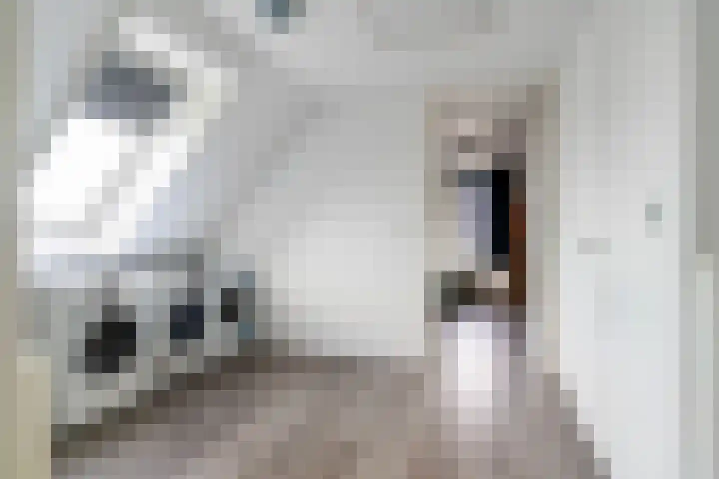 Pier Hylckeshof 6 Sneek thumbnail 34
