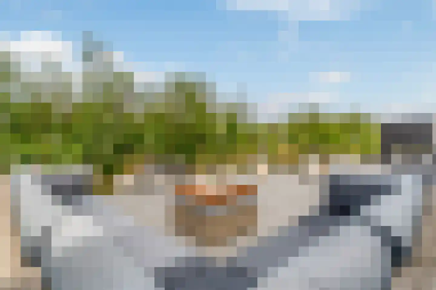 Pier Hylckeshof 6 Sneek thumbnail 47